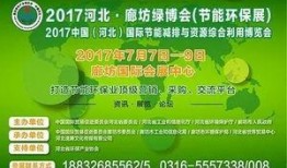 文安最新事件大爆料新闻,揭秘惊人内幕，真相令人震惊！