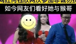 爆料徐州猴哥视频播放,一场猴年猴月的热闹狂欢